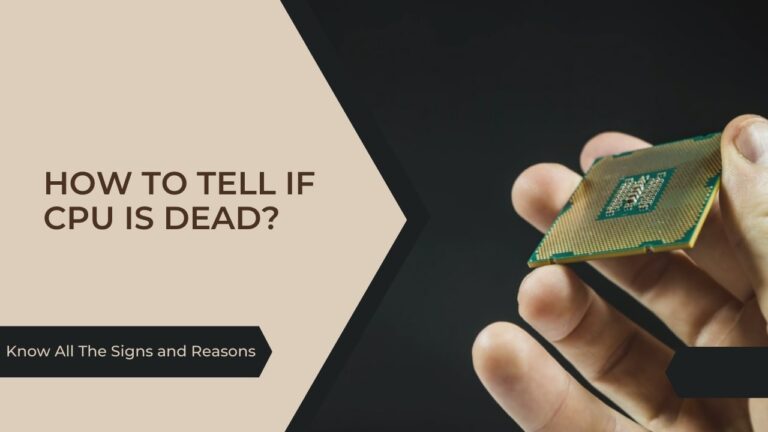 Is you CPU dead or it just need maintenance - find out everything you need