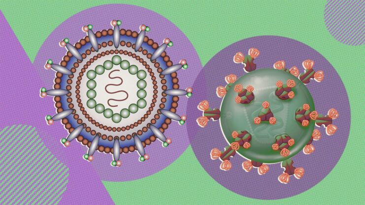 HIV and Hepatitis C Co-Infection