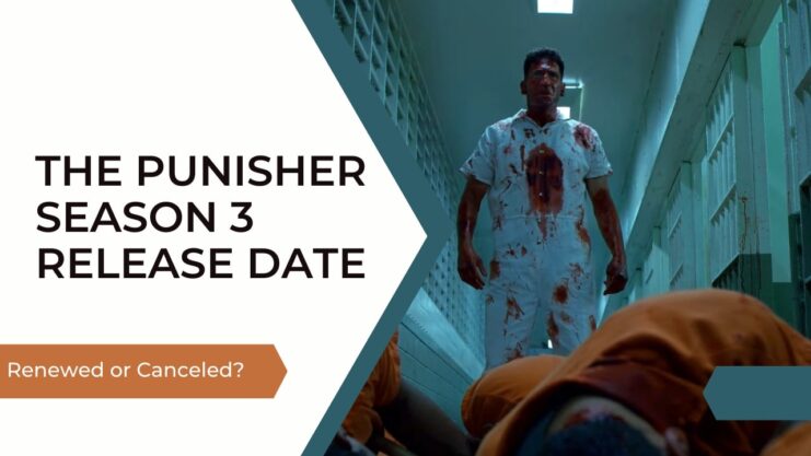 The Punisher New Season Possible Release Date or is it Canceled