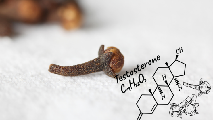 Boosting Testosterone Levels