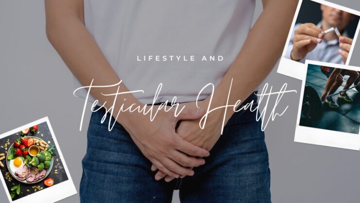 Lifestyle and Testicular Health