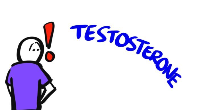 Testosterone and Masturbation