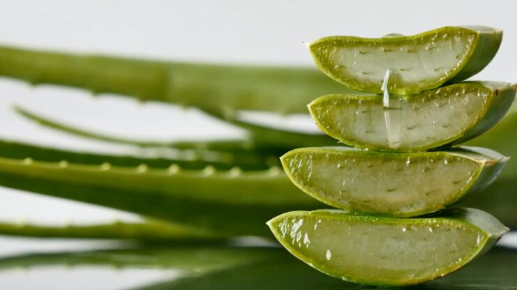 Aloe Vera - skin care