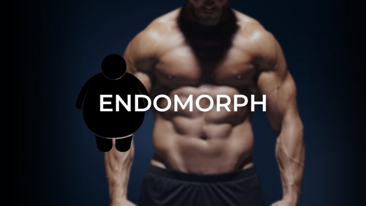 Endomorph