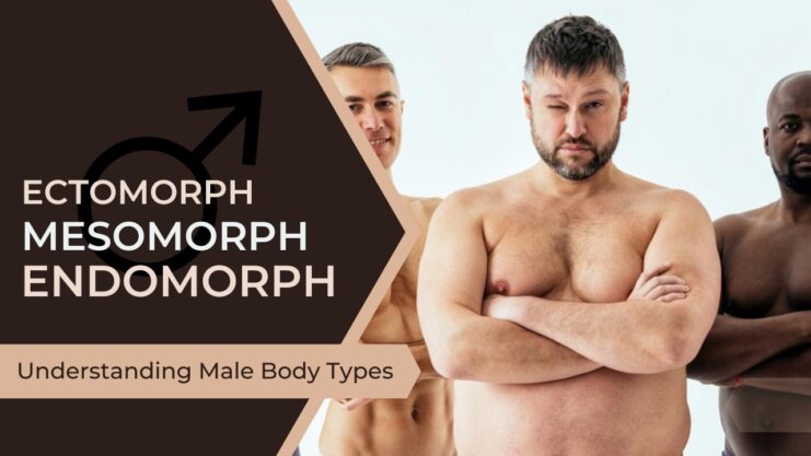 Understanding Male Body Types