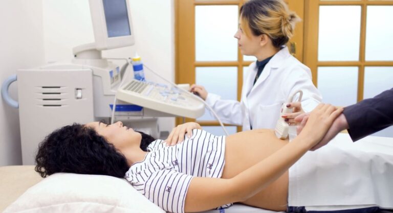 Ultrasound Fertility Assessment