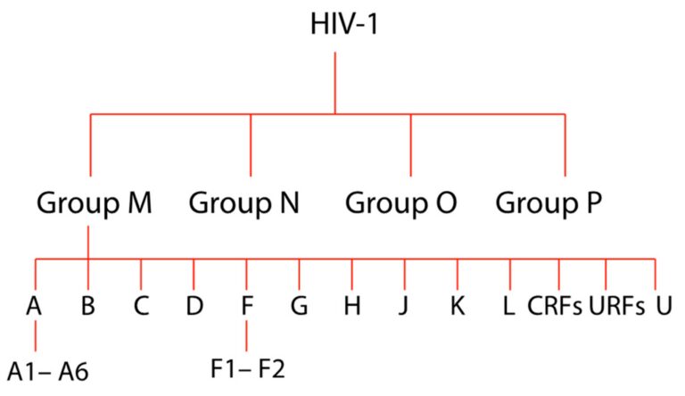hiv groups